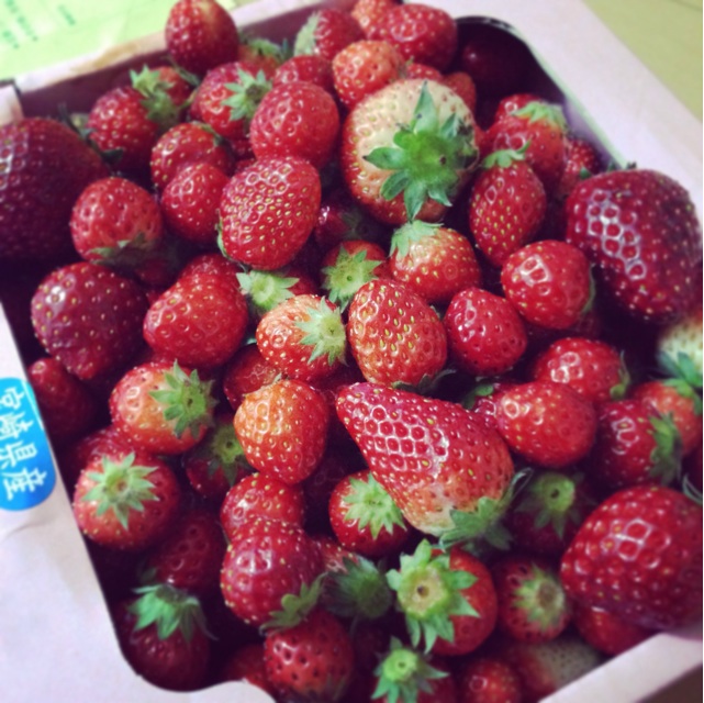 f:id:catseye77788:20140423212413j:plain f:id:catseye77788:20140423212413j:plain