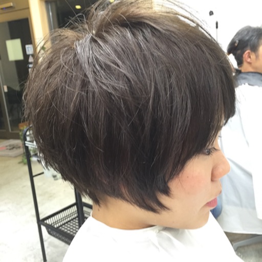 f:id:cby3884:20151212175331j:image f:id:cby3884:20151212175331j:image