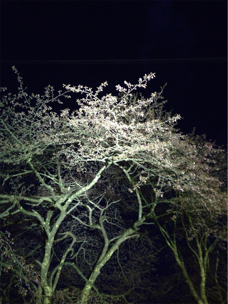 f:id:cc66hnd:20160505075341j:image f:id:cc66hnd:20160505075341j:image