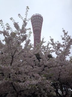 f:id:cdya:20150410220905j:plain f:id:cdya:20150410220905j:plain