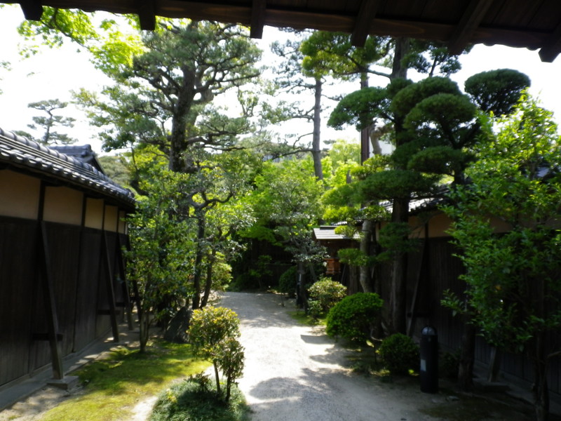 f:id:cerfeuil:20100501132128j:plain f:id:cerfeuil:20100501132128j:plain