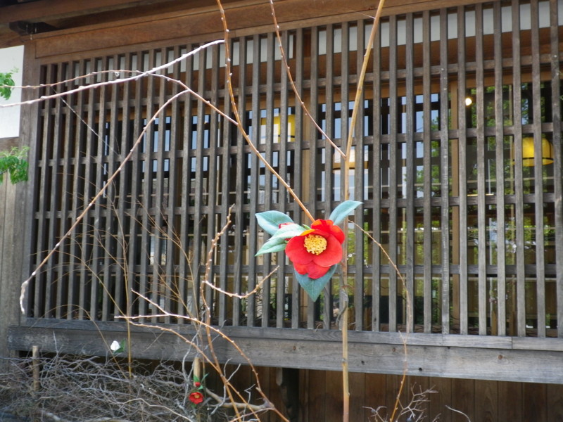 f:id:cerfeuil:20100501133056j:plain f:id:cerfeuil:20100501133056j:plain