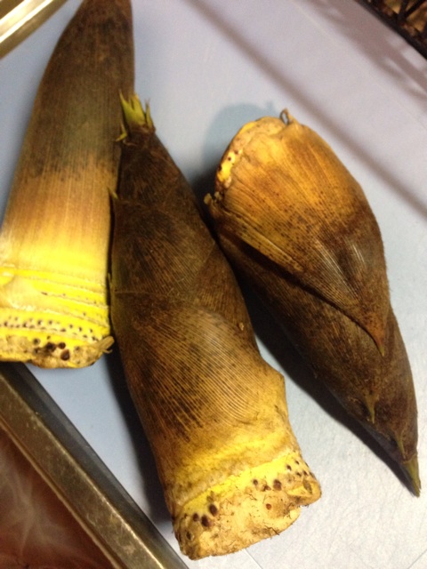 f:id:ch-koguma:20150515201151j:plain f:id:ch-koguma:20150515201151j:plain