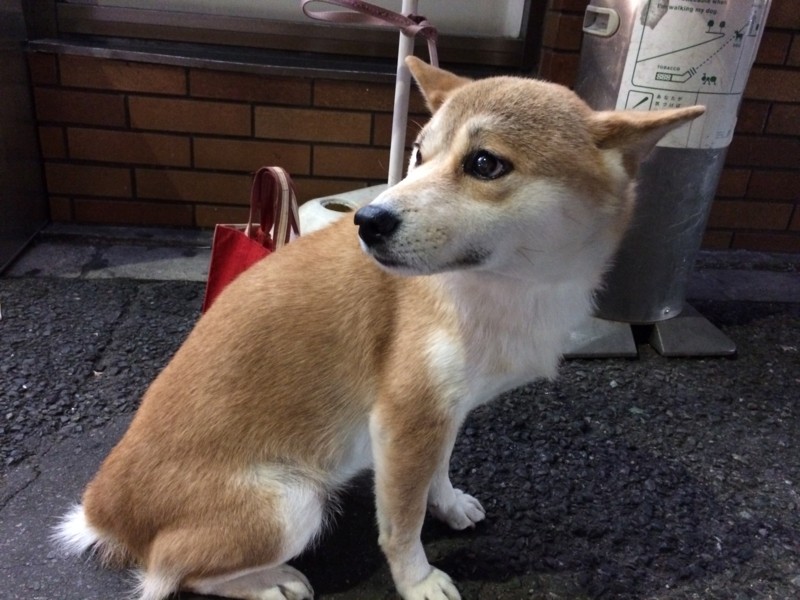 f:id:ch3cooh393:20131123170420j:plain f:id:ch3cooh393:20131123170420j:plain