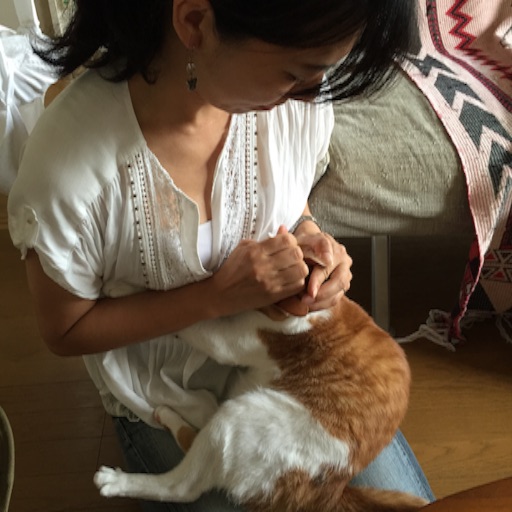 f:id:chabby_mitarashi:20160701094435j:image f:id:chabby_mitarashi:20160701094435j:image