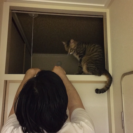 f:id:chabby_mitarashi:20160701105420j:image f:id:chabby_mitarashi:20160701105420j:image