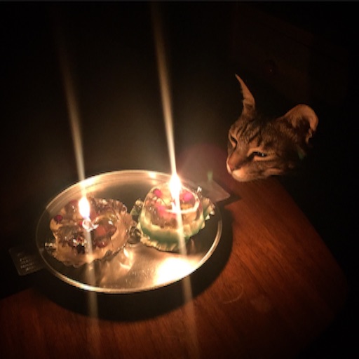 f:id:chabby_mitarashi:20160708090838j:image f:id:chabby_mitarashi:20160708090838j:image