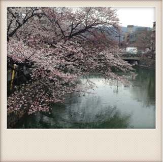 f:id:chacorinu24:20130329142845j:plain f:id:chacorinu24:20130329142845j:plain