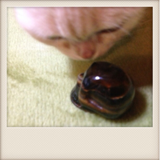 f:id:chacorinu24:20130402160818j:plain f:id:chacorinu24:20130402160818j:plain