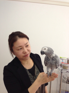 f:id:chacorinu24:20130507140042j:plain f:id:chacorinu24:20130507140042j:plain
