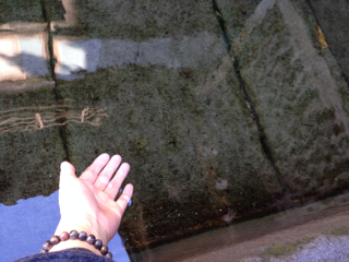 f:id:chacorinu24:20131024181253j:plain f:id:chacorinu24:20131024181253j:plain