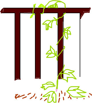 f:id:chakibear:20080728112657j:image f:id:chakibear:20080728112657j:image