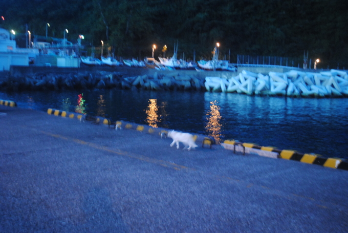 f:id:chakibear:20110919051859j:image:w500 f:id:chakibear:20110919051859j:image:w500