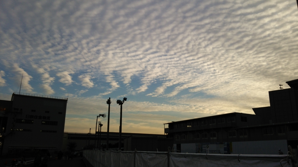f:id:chartreuse21:20151121155802j:plain f:id:chartreuse21:20151121155802j:plain