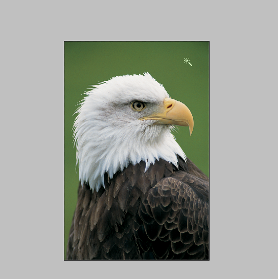 f:id:chawannmusi:20160208120804p:plain f:id:chawannmusi:20160208120804p:plain