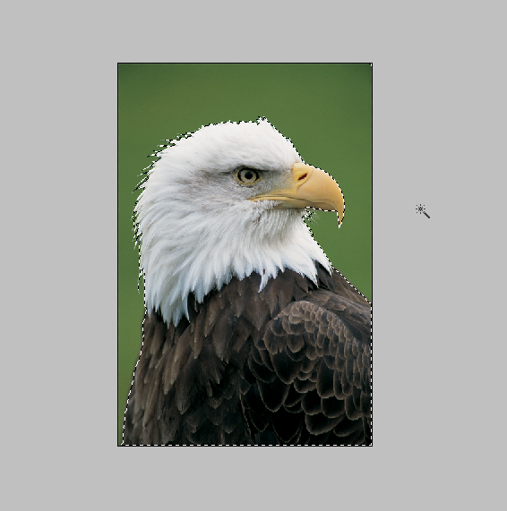 f:id:chawannmusi:20160208121126p:plain f:id:chawannmusi:20160208121126p:plain