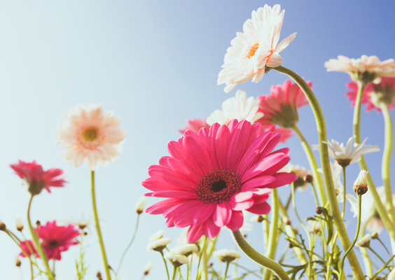 f:id:chawannmusi:20160414201303p:plain f:id:chawannmusi:20160414201303p:plain