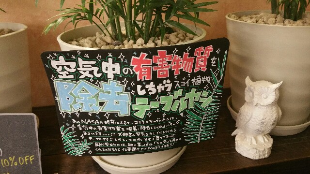 f:id:chelseaterrace1121:20160621115851j:image f:id:chelseaterrace1121:20160621115851j:image