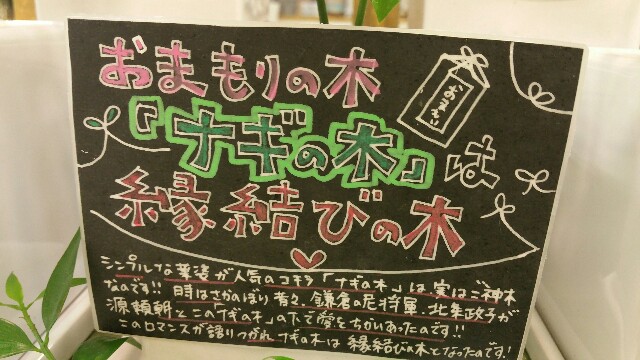 f:id:chelseaterrace1121:20160712153244j:image f:id:chelseaterrace1121:20160712153244j:image