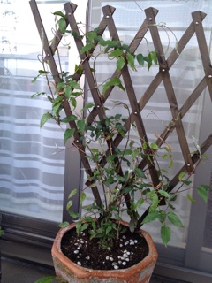 f:id:chi-chi57:20140706060311j:plain f:id:chi-chi57:20140706060311j:plain
