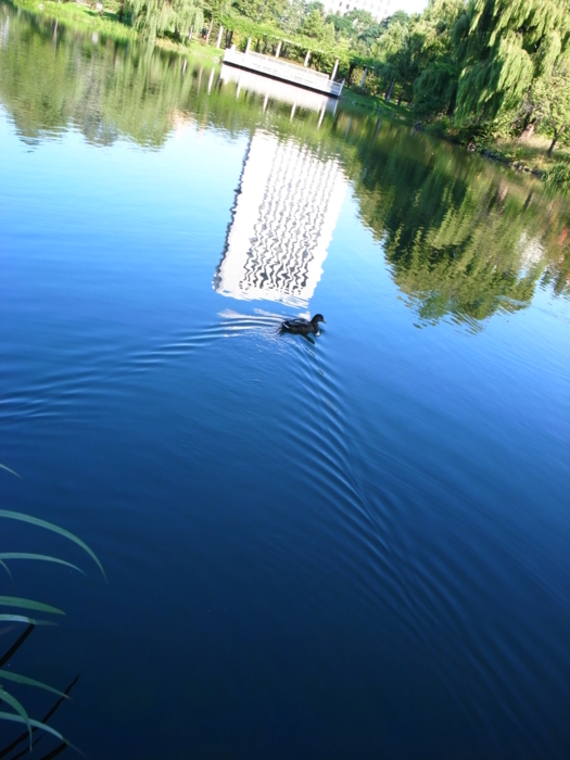 f:id:chi-ron-nu-p:20100914073029j:image