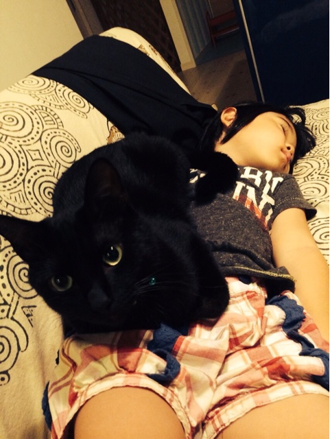 f:id:chibo-kyu:20140907124948j:plain f:id:chibo-kyu:20140907124948j:plain