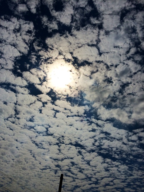 f:id:chibo-kyu:20140913195601j:plain f:id:chibo-kyu:20140913195601j:plain