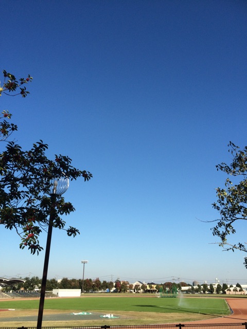 f:id:chibo-kyu:20141105173148j:plain f:id:chibo-kyu:20141105173148j:plain