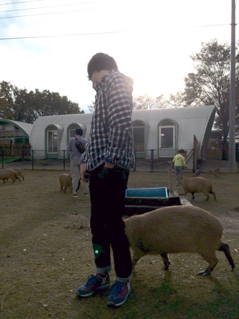 f:id:chibo-kyu:20141106151530j:plain f:id:chibo-kyu:20141106151530j:plain