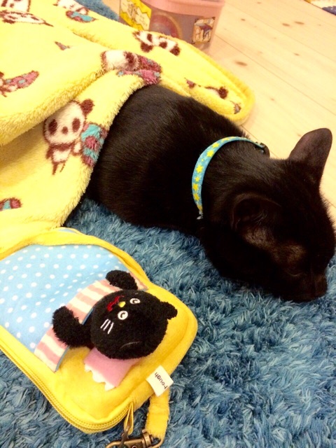 f:id:chibo-kyu:20141222133134j:plain f:id:chibo-kyu:20141222133134j:plain