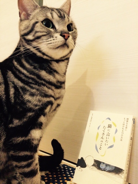 f:id:chibo-kyu:20150225135053j:plain f:id:chibo-kyu:20150225135053j:plain