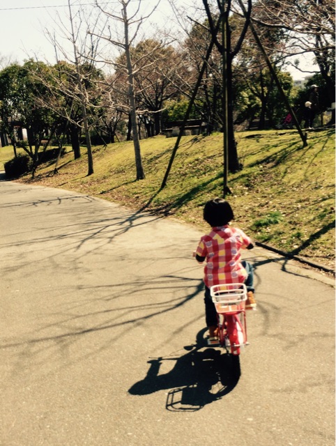 f:id:chibo-kyu:20150405185154j:plain f:id:chibo-kyu:20150405185154j:plain