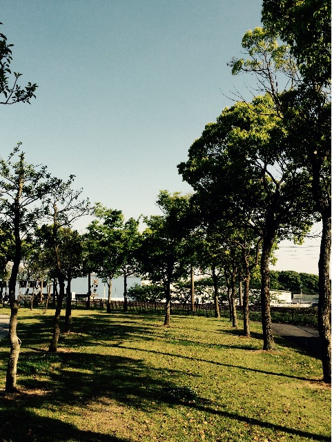 f:id:chibo-kyu:20150427175109j:image f:id:chibo-kyu:20150427175109j:image