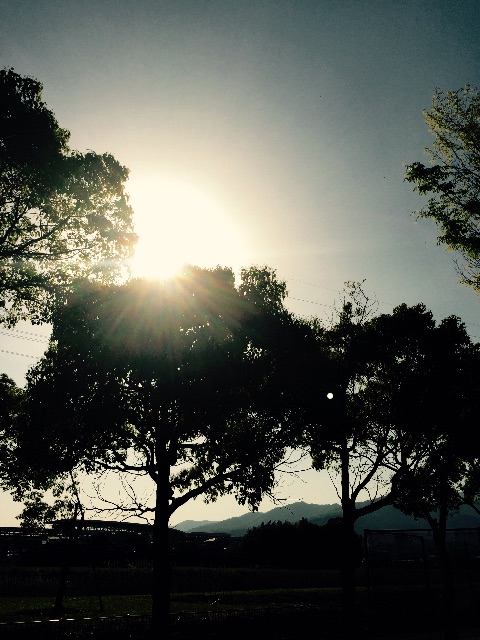 f:id:chibo-kyu:20150427175211j:image f:id:chibo-kyu:20150427175211j:image