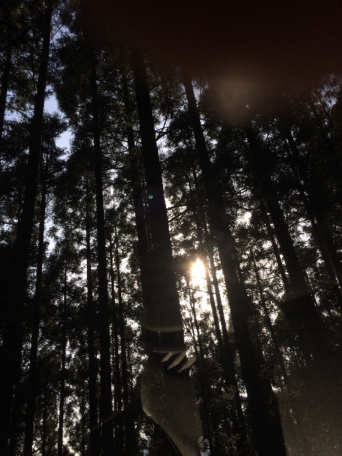 f:id:chibo-kyu:20150508150220j:image f:id:chibo-kyu:20150508150220j:image