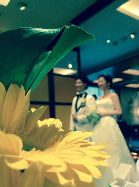 f:id:chibo-kyu:20150615124658j:image f:id:chibo-kyu:20150615124658j:image