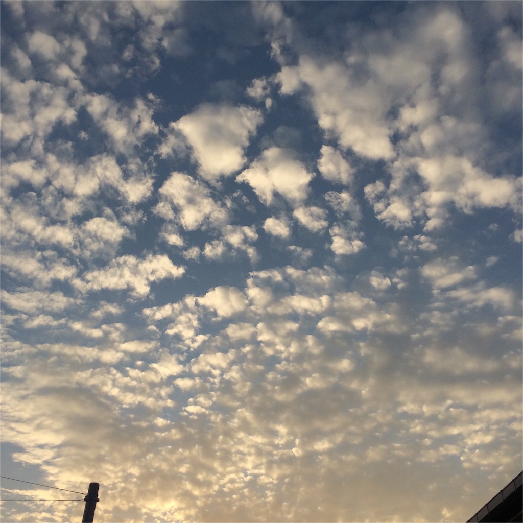 f:id:chibo-kyu:20151008183318j:image f:id:chibo-kyu:20151008183318j:image