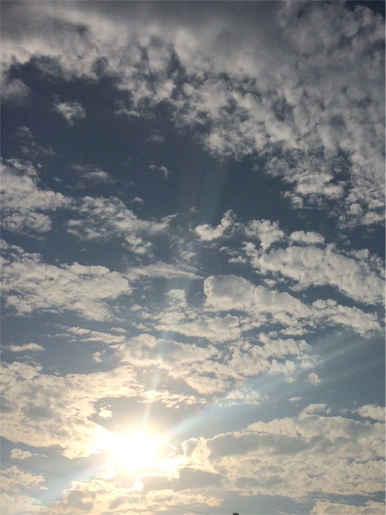 f:id:chibo-kyu:20151016151429j:image f:id:chibo-kyu:20151016151429j:image