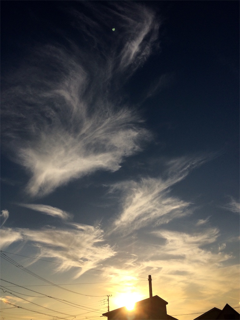 f:id:chibo-kyu:20151020201208j:image f:id:chibo-kyu:20151020201208j:image