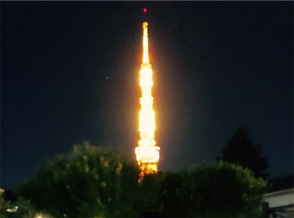 f:id:chibo-kyu:20151130231559j:image f:id:chibo-kyu:20151130231559j:image