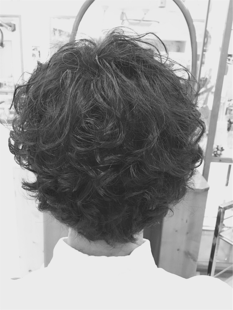 f:id:chibo-kyu:20160328163257j:image f:id:chibo-kyu:20160328163257j:image