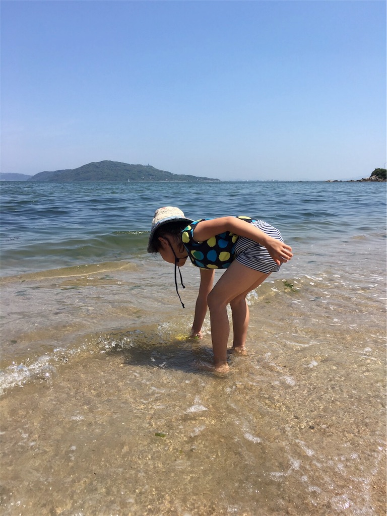 f:id:chibo-kyu:20160508180057j:image f:id:chibo-kyu:20160508180057j:image