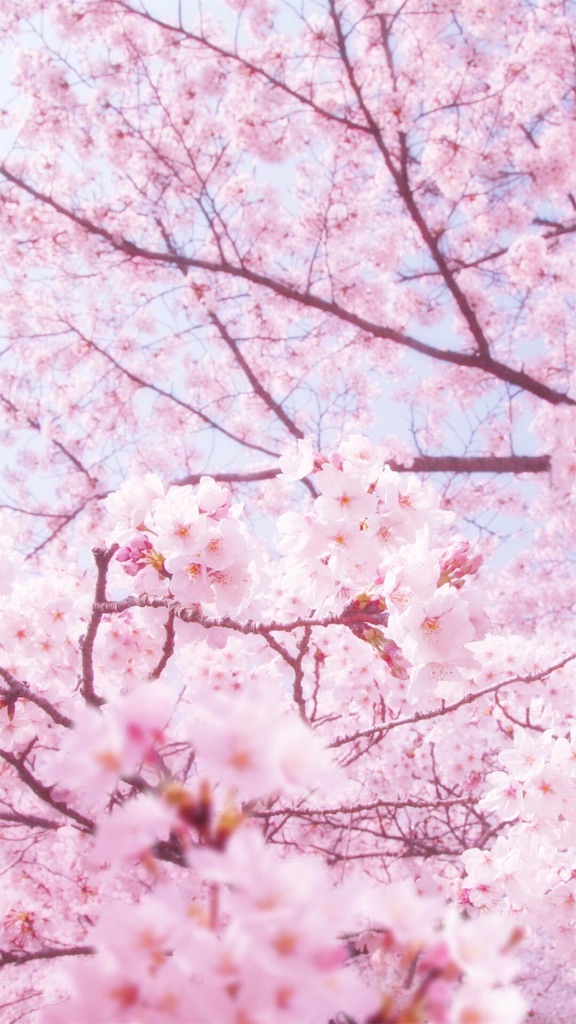 f:id:chicacouleur:20160422201521j:image f:id:chicacouleur:20160422201521j:image