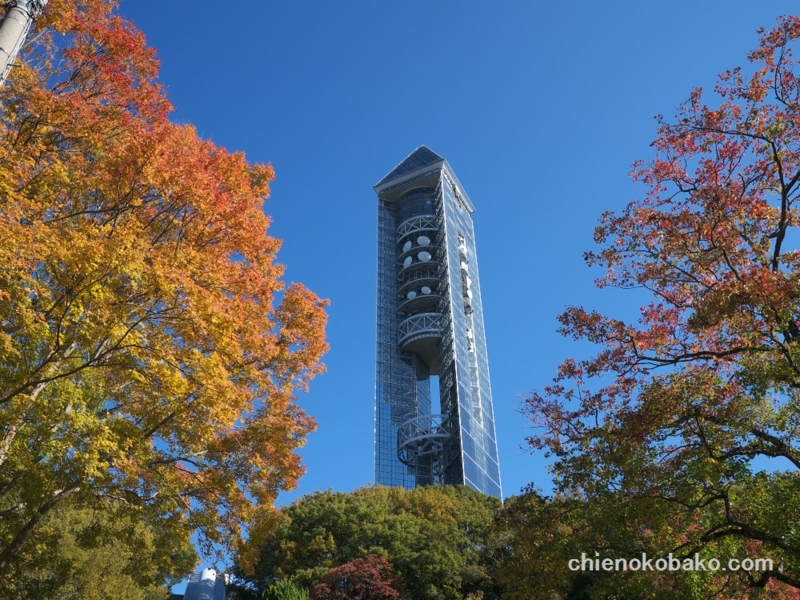 f:id:chienokobako:20141125181551j:plain f:id:chienokobako:20141125181551j:plain