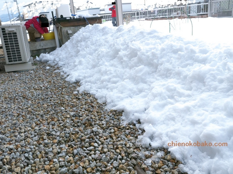 f:id:chienokobako:20150107171605j:plain f:id:chienokobako:20150107171605j:plain