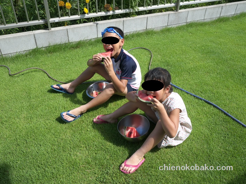 f:id:chienokobako:20150802141844j:plain