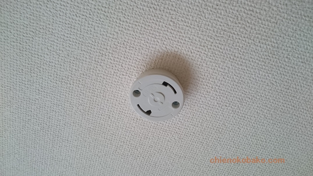 f:id:chienokobako:20150811201816j:plain f:id:chienokobako:20150811201816j:plain