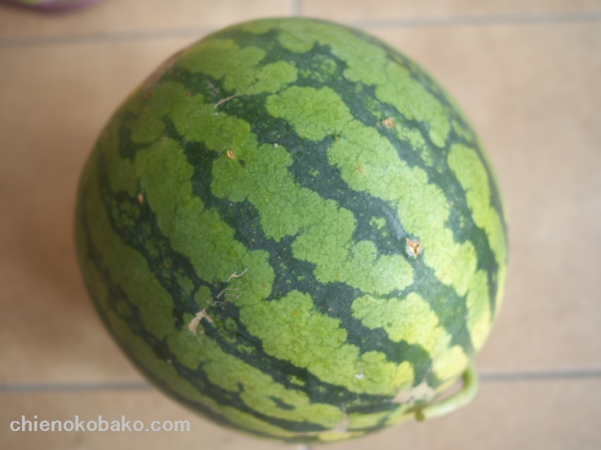 f:id:chienokobako:20150813194812j:plain f:id:chienokobako:20150813194812j:plain