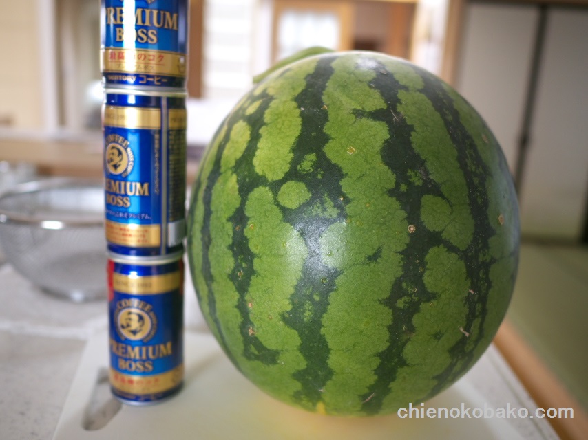 f:id:chienokobako:20150813195124j:plain f:id:chienokobako:20150813195124j:plain