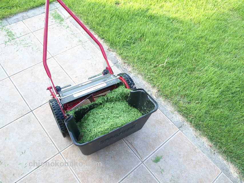 f:id:chienokobako:20150905200149j:plain